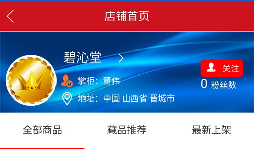國玄藝術網董先生金牌店鋪「碧沁堂」 誠尋有緣人，共啟在線教育新篇